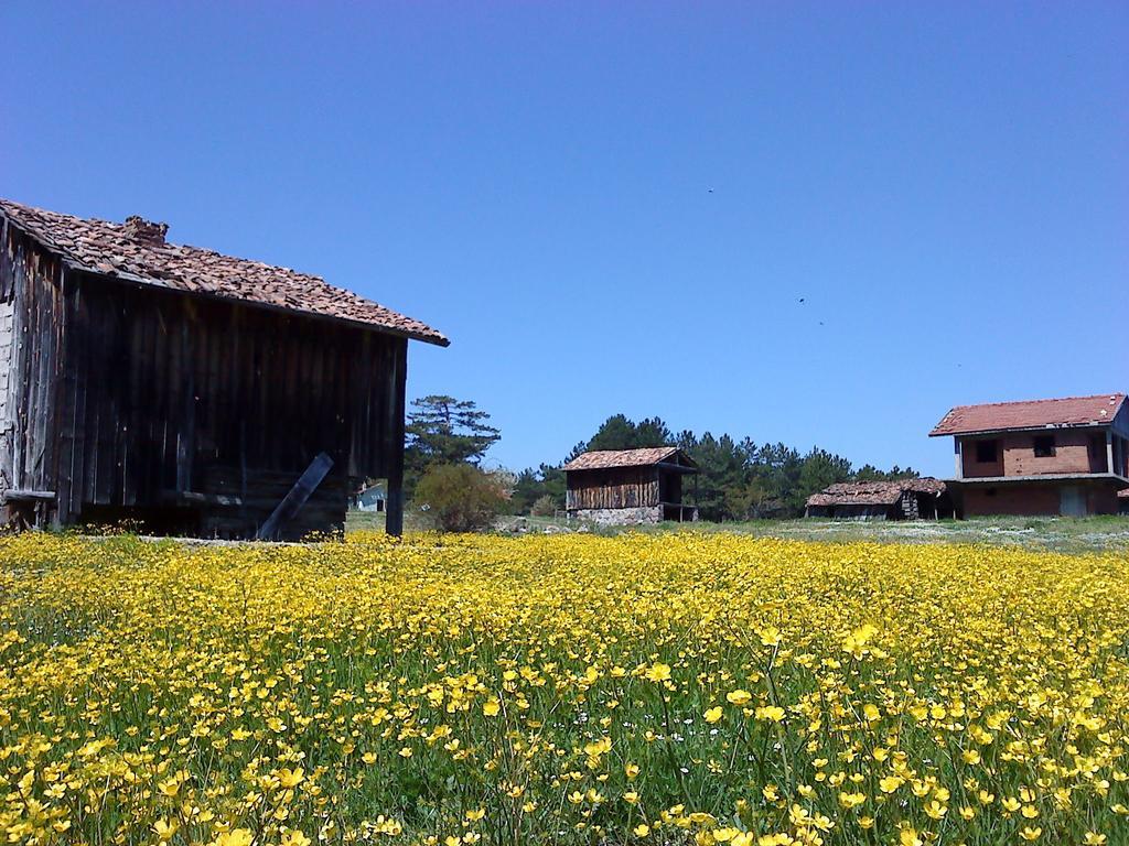Villa Neva Hotel Kındıra 外观 照片
